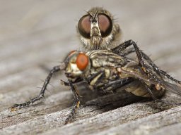 01-09-2012_2_20120901_1235969995