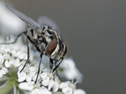 08-09-2012_1_20120908_1868708535